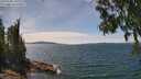 ./images/koeye/fitz-hugh/20250704/fitz-hugh20250704_141011M.jpg