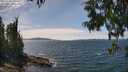 ./images/koeye/fitz-hugh/20250704/fitz-hugh20250704_141511M.jpg