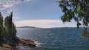 ./images/koeye/fitz-hugh/20250704/fitz-hugh20250704_142008M.jpg
