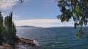 ./images/koeye/fitz-hugh/20250704/fitz-hugh20250704_142510M.jpg