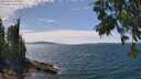 ./images/koeye/fitz-hugh/20250704/fitz-hugh20250704_143012M.jpg