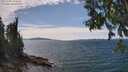 ./images/koeye/fitz-hugh/20250704/fitz-hugh20250704_143508M.jpg