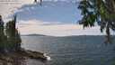 ./images/koeye/fitz-hugh/20250704/fitz-hugh20250704_144010M.jpg