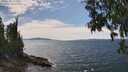 ./images/koeye/fitz-hugh/20250704/fitz-hugh20250704_144511M.jpg