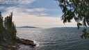 ./images/koeye/fitz-hugh/20250704/fitz-hugh20250704_153011M.jpg