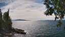 ./images/koeye/fitz-hugh/20250704/fitz-hugh20250704_154010M.jpg