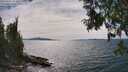 ./images/koeye/fitz-hugh/20250704/fitz-hugh20250704_154510M.jpg
