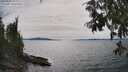 ./images/koeye/fitz-hugh/20250704/fitz-hugh20250704_160012M.jpg