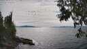 ./images/koeye/fitz-hugh/20250704/fitz-hugh20250704_161510M.jpg