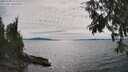 ./images/koeye/fitz-hugh/20250704/fitz-hugh20250704_162009M.jpg