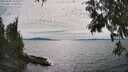 ./images/koeye/fitz-hugh/20250704/fitz-hugh20250704_162509M.jpg