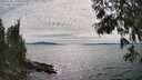 ./images/koeye/fitz-hugh/20250704/fitz-hugh20250704_163010M.jpg