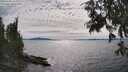 ./images/koeye/fitz-hugh/20250704/fitz-hugh20250704_163509M.jpg