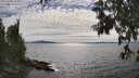 ./images/koeye/fitz-hugh/20250704/fitz-hugh20250704_164010M.jpg