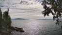 ./images/koeye/fitz-hugh/20250704/fitz-hugh20250704_165010M.jpg