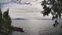 ./images/koeye/fitz-hugh/20250704/fitz-hugh20250704_170011M.jpg