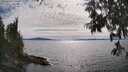 ./images/koeye/fitz-hugh/20250704/fitz-hugh20250704_170508M.jpg