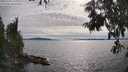 ./images/koeye/fitz-hugh/20250704/fitz-hugh20250704_173012M.jpg