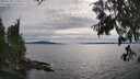 ./images/koeye/fitz-hugh/20250704/fitz-hugh20250704_174010M.jpg