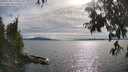 ./images/koeye/fitz-hugh/20250704/fitz-hugh20250704_175510M.jpg