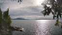 ./images/koeye/fitz-hugh/20250704/fitz-hugh20250704_180012M.jpg