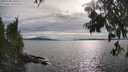 ./images/koeye/fitz-hugh/20250704/fitz-hugh20250704_180509M.jpg