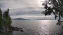 ./images/koeye/fitz-hugh/20250704/fitz-hugh20250704_181011M.jpg