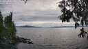 ./images/koeye/fitz-hugh/20250704/fitz-hugh20250704_181511M.jpg