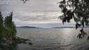./images/koeye/fitz-hugh/20250704/fitz-hugh20250704_183510M.jpg