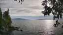 ./images/koeye/fitz-hugh/20250704/fitz-hugh20250704_184511M.jpg
