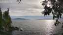 ./images/koeye/fitz-hugh/20250704/fitz-hugh20250704_185009M.jpg