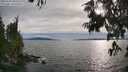 ./images/koeye/fitz-hugh/20250704/fitz-hugh20250704_185510M.jpg