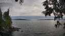 ./images/koeye/fitz-hugh/20250704/fitz-hugh20250704_190509M.jpg