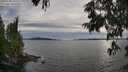 ./images/koeye/fitz-hugh/20250704/fitz-hugh20250704_191508M.jpg