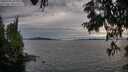 ./images/koeye/fitz-hugh/20250704/fitz-hugh20250704_200009M.jpg