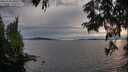 ./images/koeye/fitz-hugh/20250704/fitz-hugh20250704_201009M.jpg