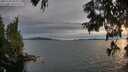 ./images/koeye/fitz-hugh/20250704/fitz-hugh20250704_203010M.jpg