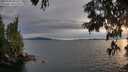 ./images/koeye/fitz-hugh/20250704/fitz-hugh20250704_203509M.jpg