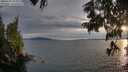 ./images/koeye/fitz-hugh/20250704/fitz-hugh20250704_204009M.jpg