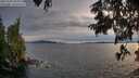 ./images/koeye/fitz-hugh/20250704/fitz-hugh20250704_205009M.jpg