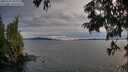 ./images/koeye/fitz-hugh/20250704/fitz-hugh20250704_210009M.jpg