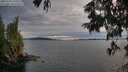 ./images/koeye/fitz-hugh/20250704/fitz-hugh20250704_210509M.jpg