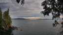 ./images/koeye/fitz-hugh/20250704/fitz-hugh20250704_212009M.jpg