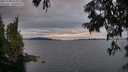 ./images/koeye/fitz-hugh/20250704/fitz-hugh20250704_214009M.jpg