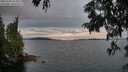 ./images/koeye/fitz-hugh/20250704/fitz-hugh20250704_214509M.jpg