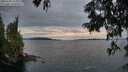 ./images/koeye/fitz-hugh/20250704/fitz-hugh20250704_215007M.jpg