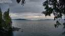 ./images/koeye/fitz-hugh/20250704/fitz-hugh20250704_215508M.jpg