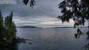 ./images/koeye/fitz-hugh/20250704/fitz-hugh20250704_220009M.jpg