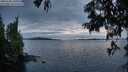 ./images/koeye/fitz-hugh/20250704/fitz-hugh20250704_220508M.jpg