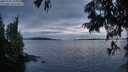 ./images/koeye/fitz-hugh/20250704/fitz-hugh20250704_221009M.jpg
